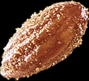 Almond