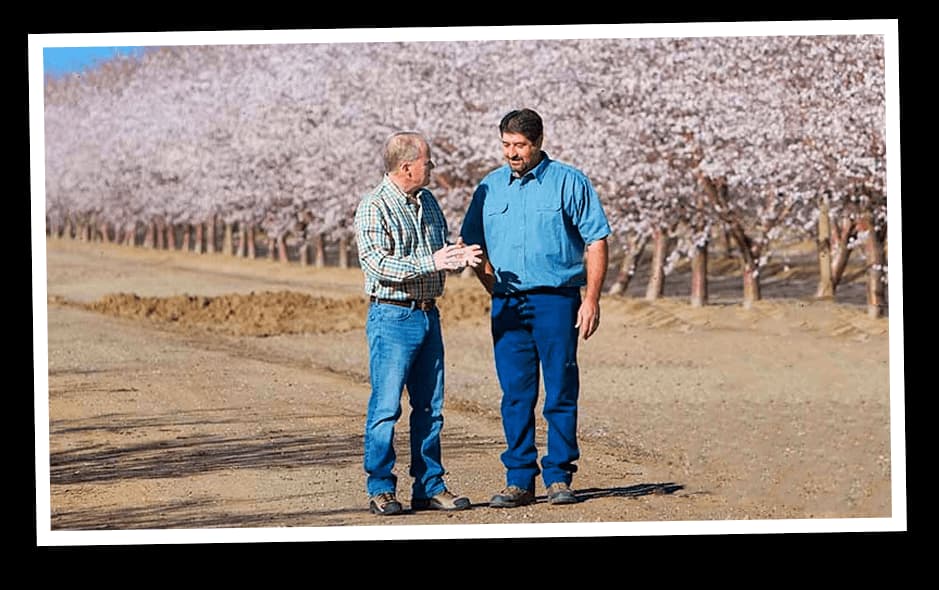 Farmer checking blossoms