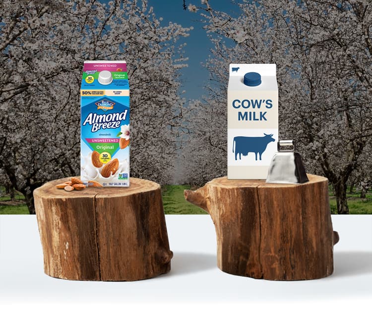 Almond milk and dairy milk cartons on tree stumps