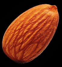 Almond
